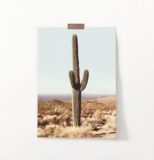 Saguaro National Park Cactus Print