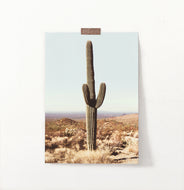 Saguaro National Park Cactus Print
