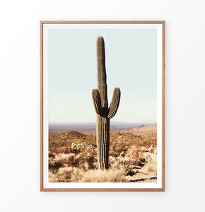 Large Cactus Print, Saguaro National Park