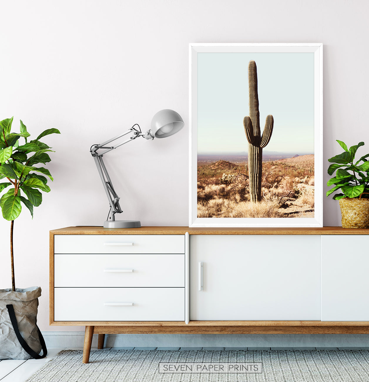 Large Cactus in Saguaro National Park Arizona – Seven Paper Prints
