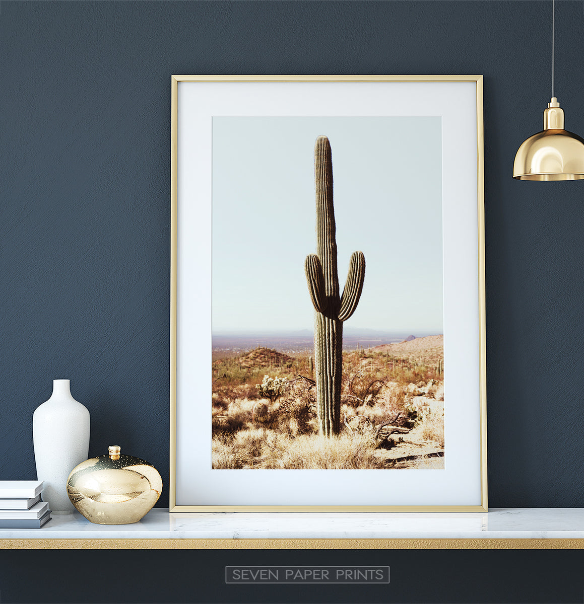 Large Cactus in Saguaro National Park Arizona – Seven Paper Prints