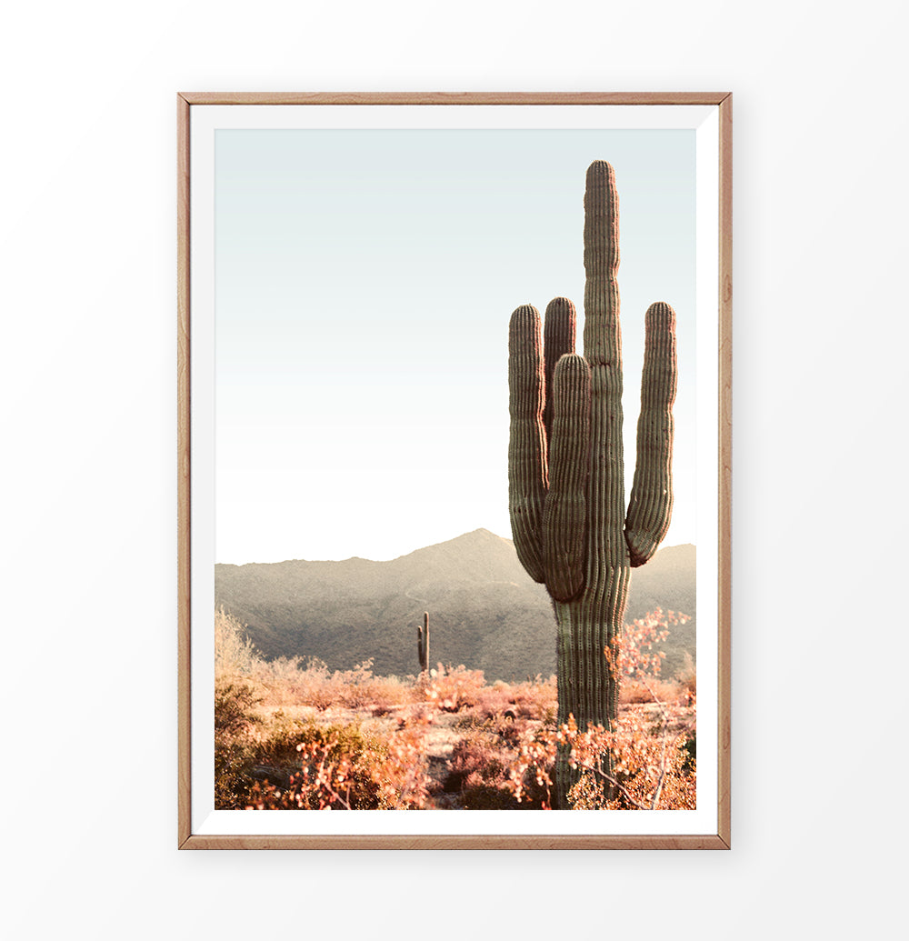 Minimalist Saguaro Cactus Wall Art – Saguaro National Park – Seven