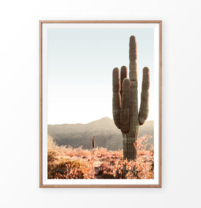 Giant Cactus Print