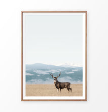 Load image into Gallery viewer, Brown Deer Picture, Colorado field wall art
