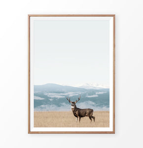Brown Deer Picture, Colorado field wall art