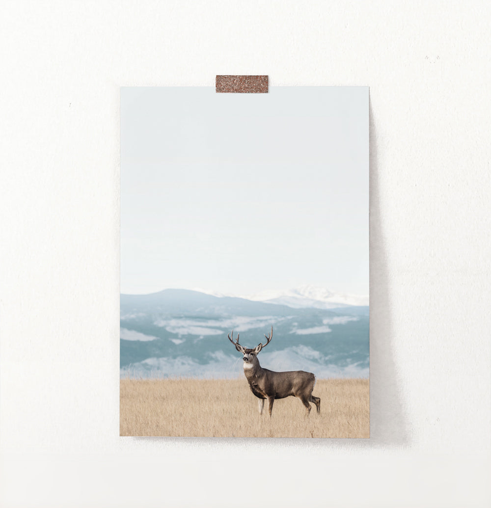 Brown Deer Nature Wall Art