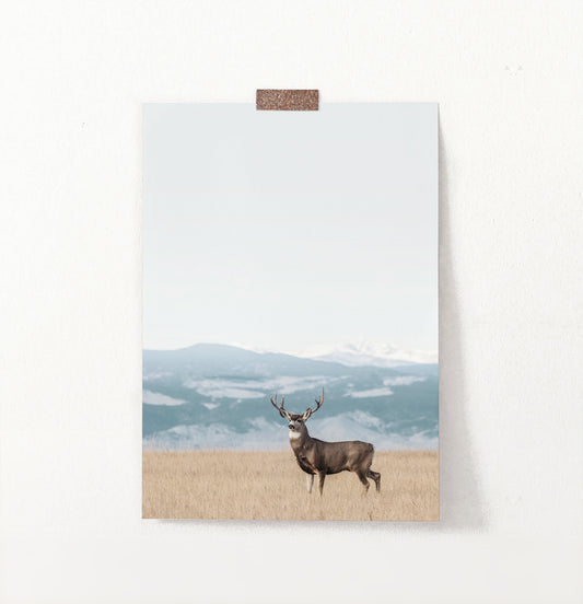 Brown Deer Nature Wall Art
