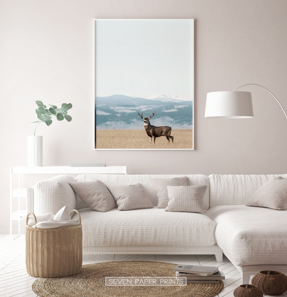 Brown Deer Nature Wall Art