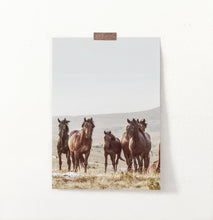 Load image into Gallery viewer, Brown Wild Horses Print
