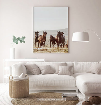 Brown Wild Horses Print