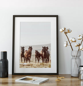 Brown Wild Horses Print