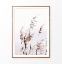 Load image into Gallery viewer, Phragmites australis print, common reed wall art
