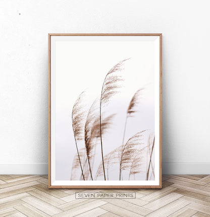 Phragmites Wall Art