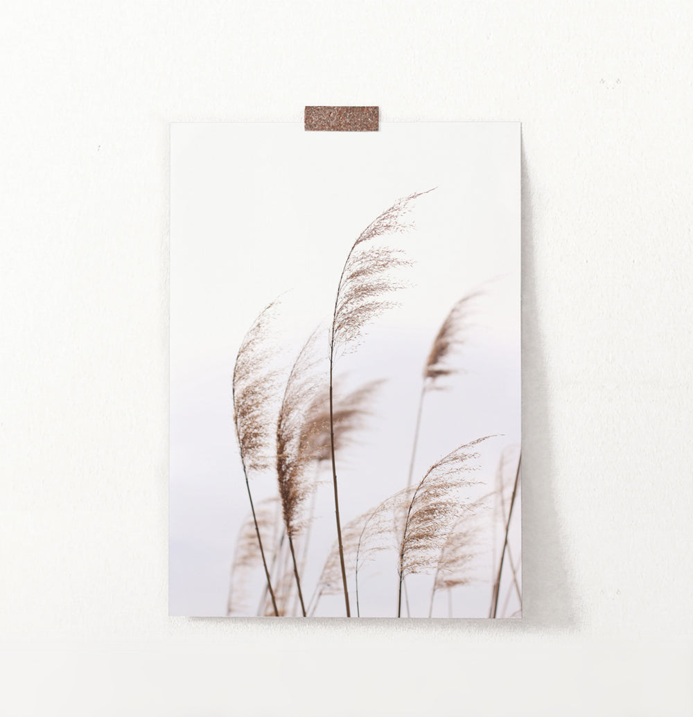 Phragmites Wall Art