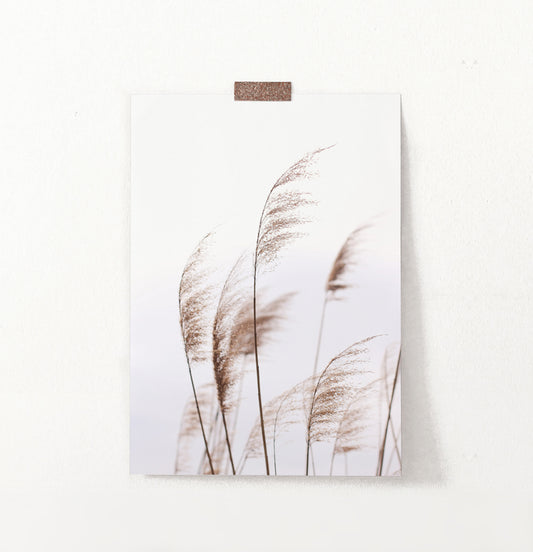 Phragmites Wall Art