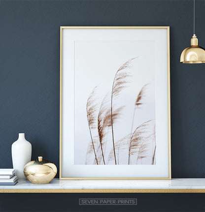 Phragmites Wall Art