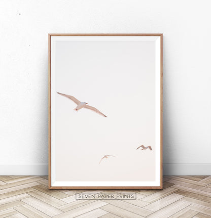Flying Seagull Wall Art