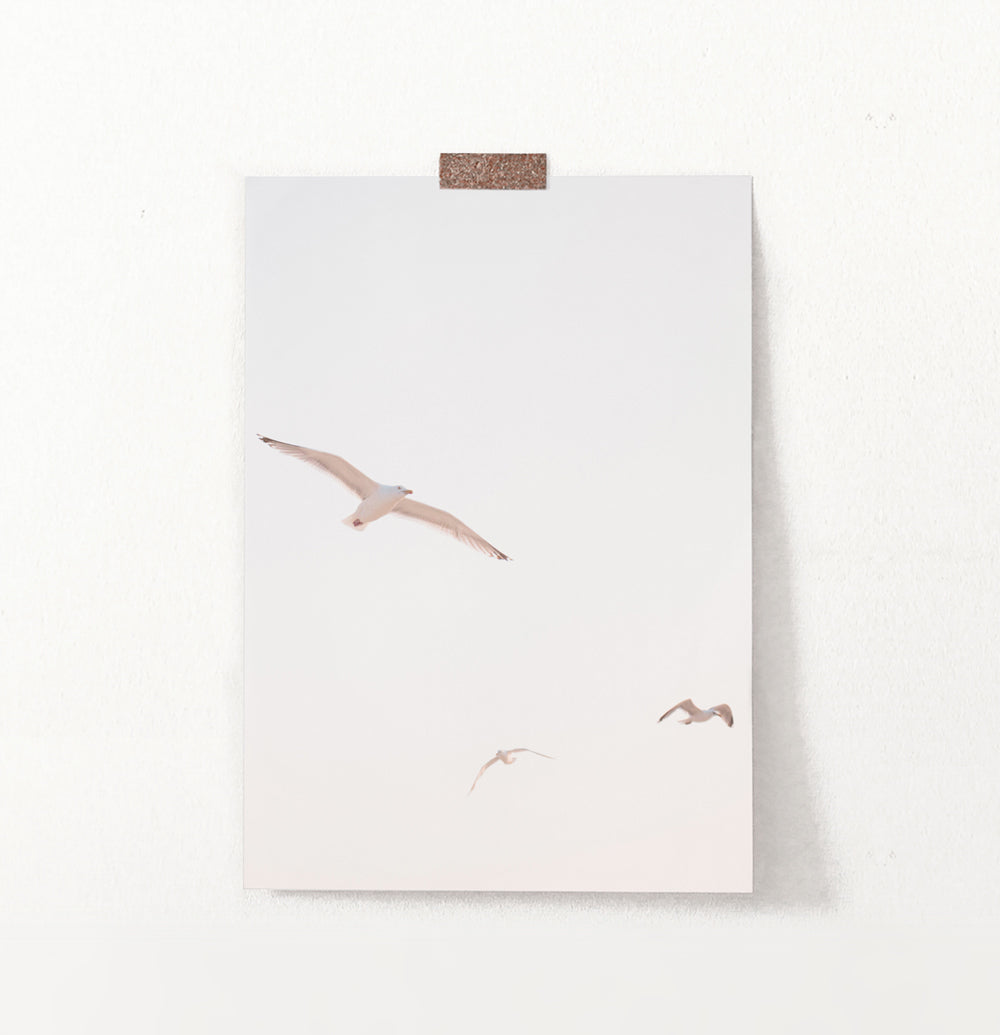 Flying Seagull Wall Art