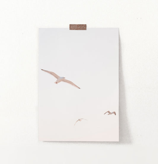 Flying Seagull Wall Art