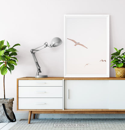 Flying Seagull Wall Art