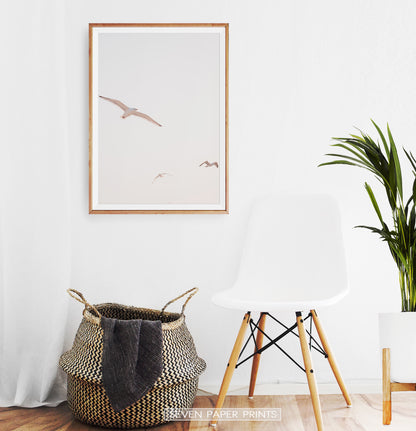 Flying Seagull Wall Art