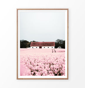 Pink flowers wall art, Toscana Hills landscape