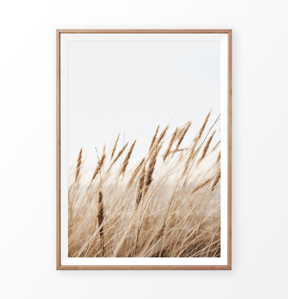 Common reed single print