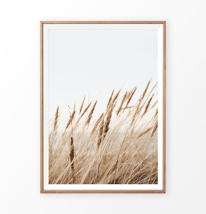 Common reed single print
