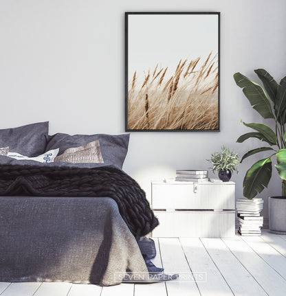 Brown Common Reed Poster