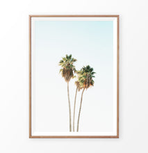 Load image into Gallery viewer, High palm trees photo, coastal palm art

