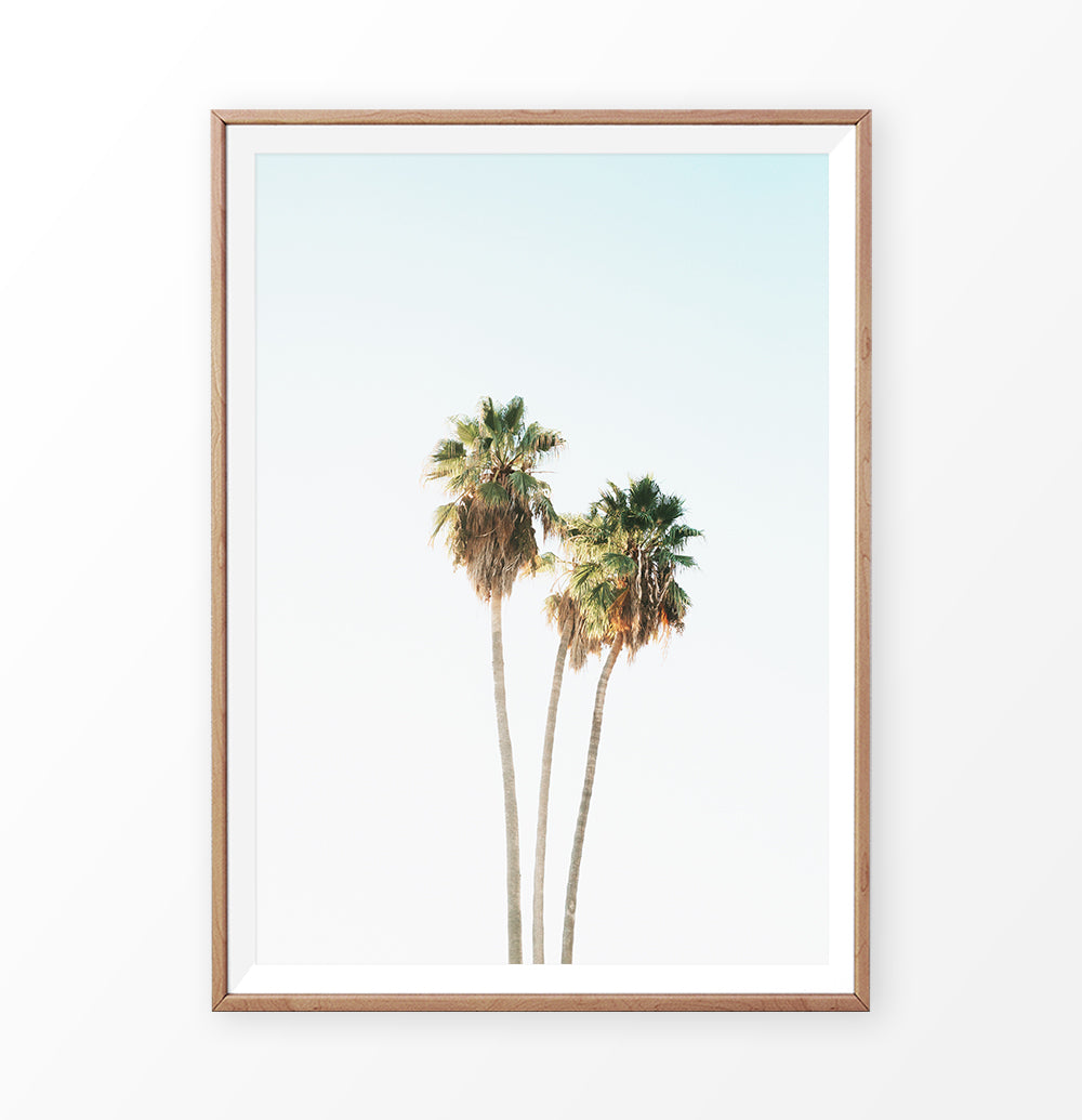 Minimalist Coastal Palm Trees Wall Art – Seven Paper Prints