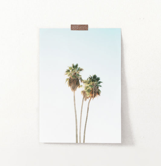 Tall Palm Trees Print