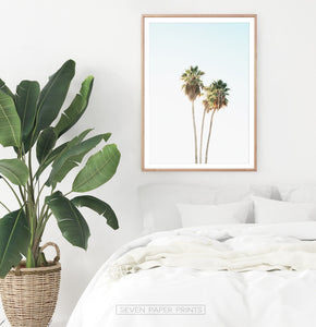 Tall Palm Trees Print