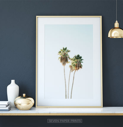Tall Palm Trees Print
