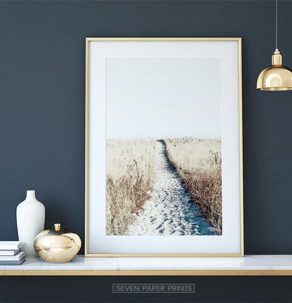 Sandy Beach Path Wall Art