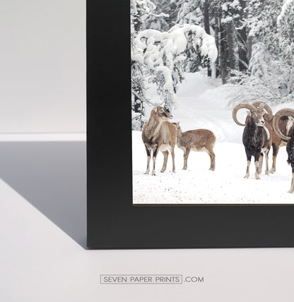 Corner of a black frame