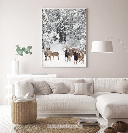 White-framed in the living room with white sofa