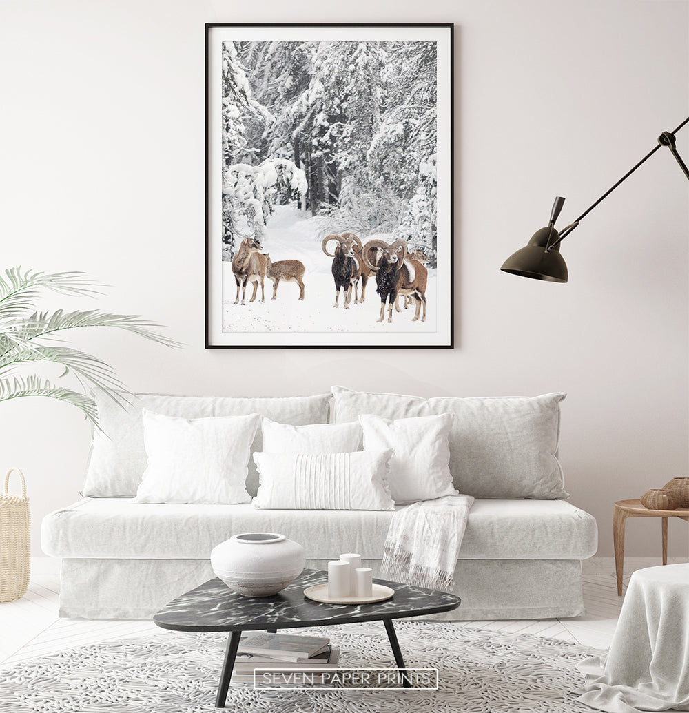 Black-framed with white sofa