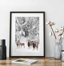 Load image into Gallery viewer, Black-framed on a wooden shelf
