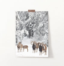Load image into Gallery viewer, Winter Sheep In The Forest Photo Print
