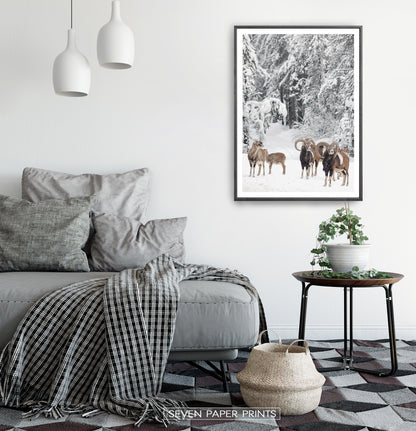 Black-framed in a white&gray bedroom