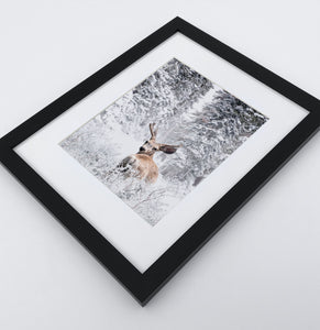 Winter Forest Deer framed wall art