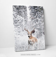 Load image into Gallery viewer, Deer in the Snowy Forest Canvas Print
