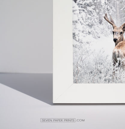 Corner of a white frame
