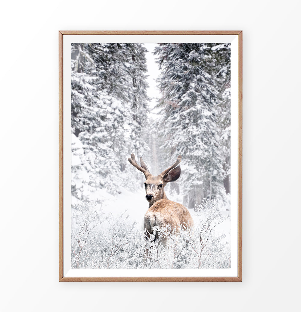 Wooden-framed photo print