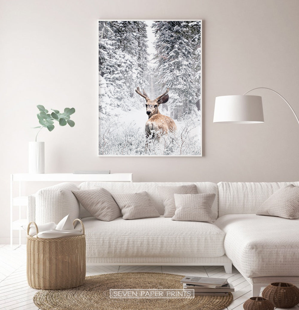 White-framed in the living room with white sofa