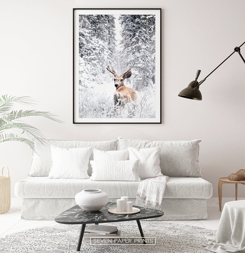 Black-framed with white sofa