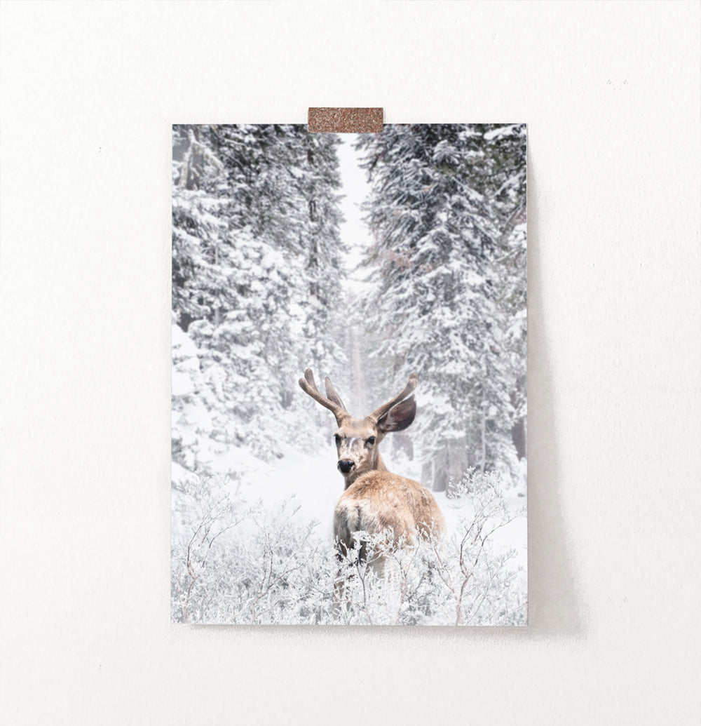 Deer In Half A Turn Among Snowy Forest Spacing Wall Art
