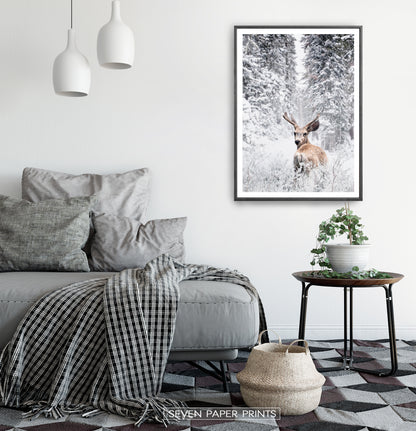 Black-framed in a white&gray bedroom