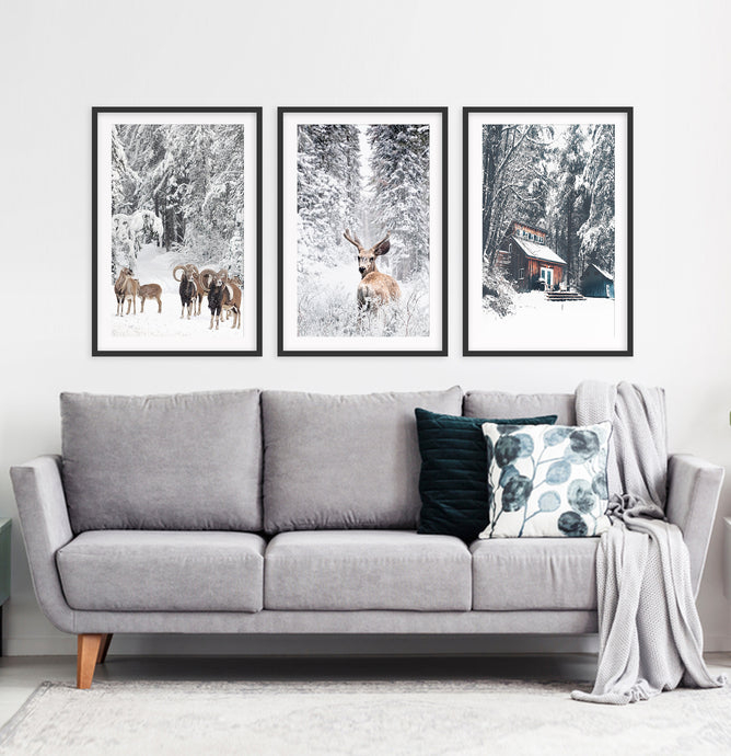 Framed Set of 3 Winter Forest Sheep, Deer and House Wall Art